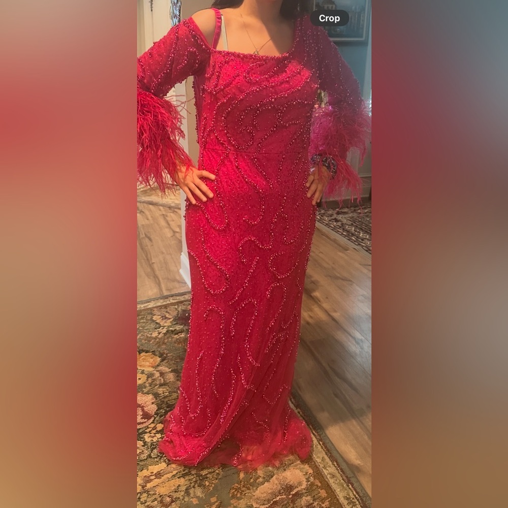 Elegant hot pink Feathered Gowned - Picture 2 of 8